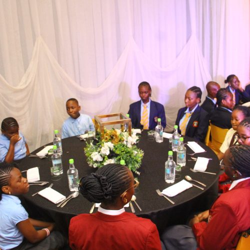 Fola Agoro Book Launch (12)