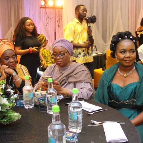 Fola Agoro Book Launch (14)