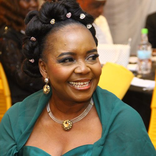 Fola Agoro Book Launch (16)