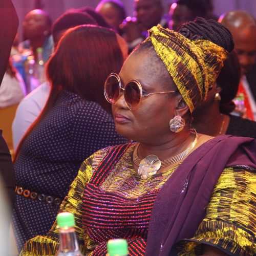 Fola Agoro Book Launch (24)