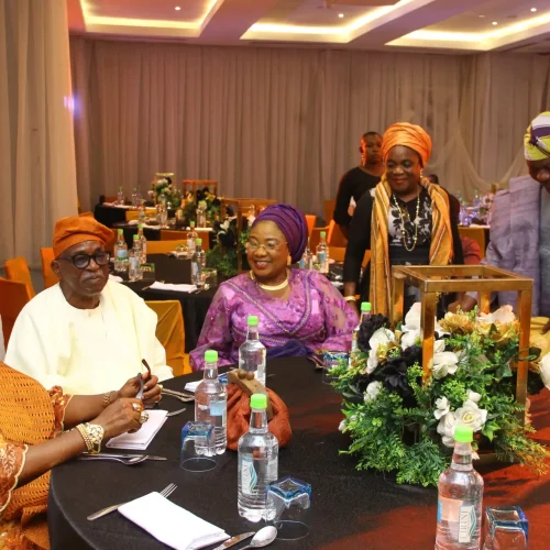 Fola Agoro Book Launch (7)